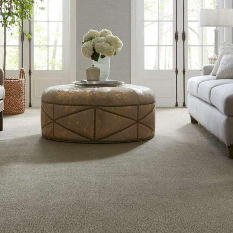 Carpet Flooring Ideas